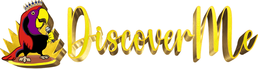 DiscoverMe Logo